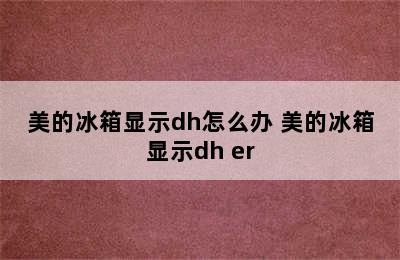 美的冰箱显示dh怎么办 美的冰箱显示dh er